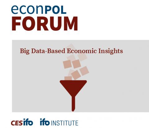 EconPol Forum 6/2024 - BIG-DATA-BASED ECONOMIC INSIGHTS